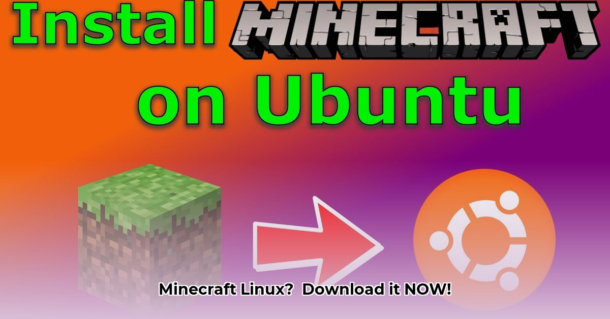 minecraft-download-linux